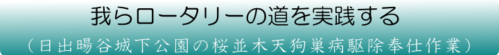 日出暘谷城下公園の桜並木天狗巣病駆除奉仕作業風景